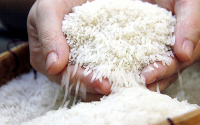 Giá lúa gạo hôm nay 29/5: Ổn định sau một phiên nhiều biến động - Ảnh 1.