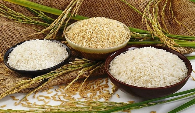 Giá gạo hôm nay 12/6: Giá gạo nguyên liệu tăng 200 đồng - Ảnh 1.