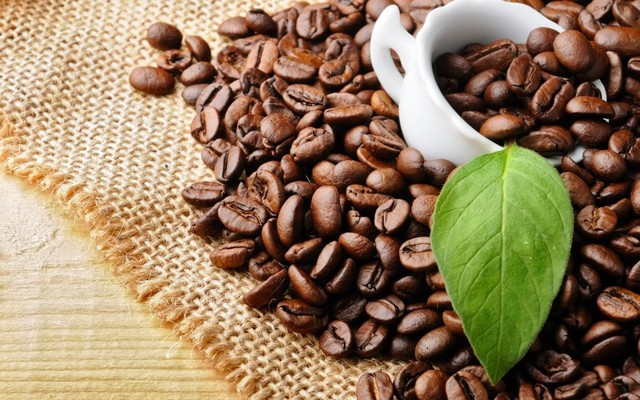 Thị trường nông sản ngày 15/6: Giá cà phê giảm mạnh 300 - 400 đồng - Ảnh 1.