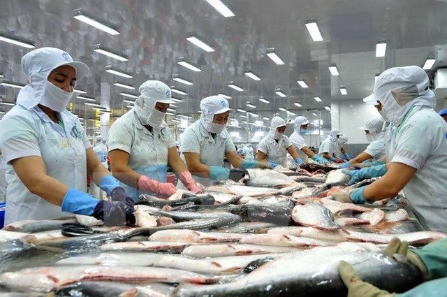 Năm 2021, nguồn cung cá thịt trắng toàn cầu sẽ tăng 4% - Ảnh 1.