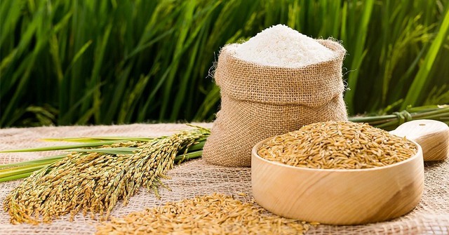 Giá lúa gạo hôm nay 12/7: Thị trường ổn định do giao dịch trầm lắng - Ảnh 1.