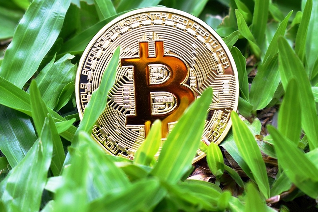 Giá Bitcoin hôm nay 13/7: Chuẩn bị cho một chu kỳ tăng giá mới - Ảnh 1.