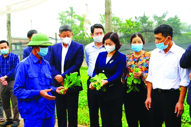 Hà Nội đạt kết quả ấn tượng trong chương trình xây dựng nông thôn mới - Ảnh 1.