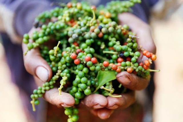 Thị trường nông sản ngày 28/7: Giá cà phê trong nước giảm nhẹ 100 đồng - Ảnh 2.
