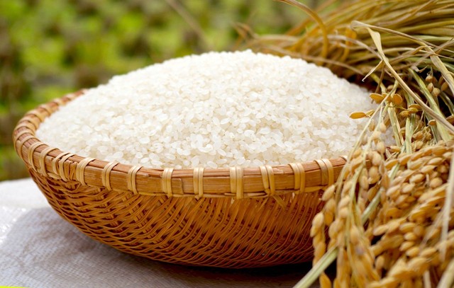 Giá gạo hôm nay 5/7: Sụt giảm do dịch COVID-19 - Ảnh 1.
