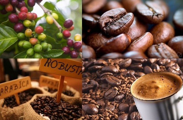Thị trường nông sản ngày 17/8: Giá cà phê sắp cán mốc 38.000 đồng/kg - Ảnh 1.