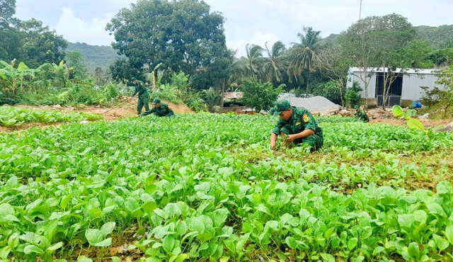 Các cán bộ, chiến sĩ đồn Biên phòng Thổ Châu chăm sóc rau trong vườn tăng gia của đơn vị.