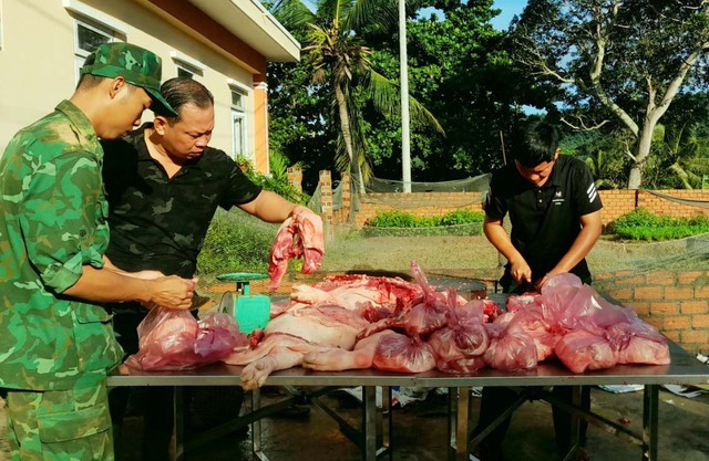 Các cán bộ, chiến sĩ đồn Biên phòng Thổ Châu mổ thịt heo do đơn vị tăng gia hỗ trợ nhân dân trên xã đảo.