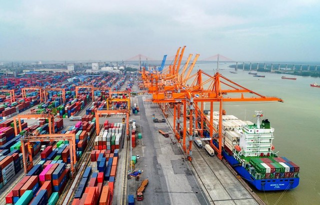 Cục Hàng hải yêu cầu công khai giá cước và phụ thu vận tải container bằng đường biển - Ảnh 1.
