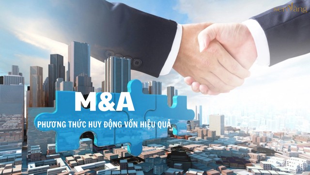 Các doanh nghiệp làm gì để nắm bắt cơ hội thành công trong thương vụ M&A - Ảnh 1.