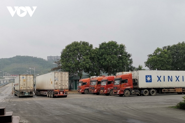 Trung Quốc mở cửa lại cho trái thanh long, Bộ Công Thương khuyến nghị xuất khẩu an toàn - Ảnh 1.