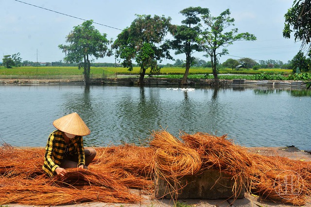 Về làng Lưu Thượng sắm quà đan từ... cỏ tế - Ảnh 4.