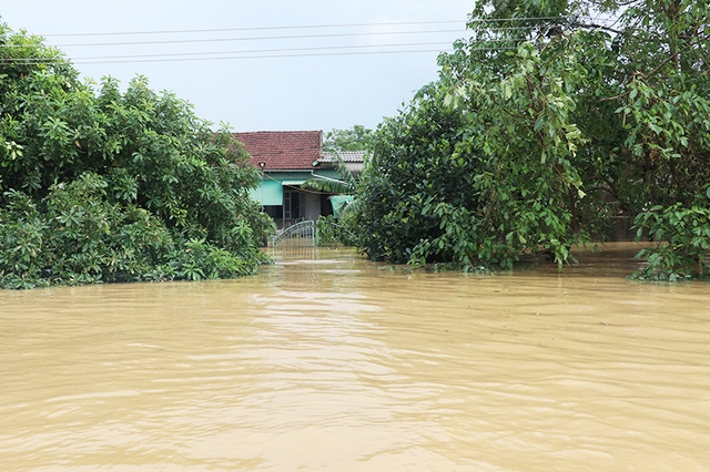 Nghệ An: Chủ tịch UBND tỉnh kiểm tra tình hình mưa lụt trên địa bàn huyện Hưng Nguyên - Ảnh 1.