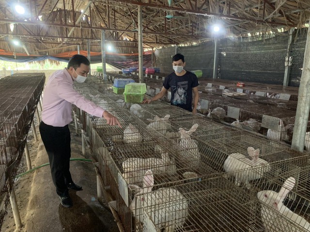Ngân hàng chính sách huyện Cẩm Khê: Hiệu quả chương trình tín dụng cho người nghèo - Ảnh 3. Ngân hàng chính sách huyện Cẩm Khê: Hiệu quả chương trình tín dụng cho người nghèo - Ảnh 3.