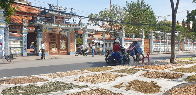 Kiên Giang: Phòng thuốc nam hơn 30 năm từ thiện chữa bệnh giúp người tại Đình thờ Nguyễn Trung Trực.  - Ảnh 1.