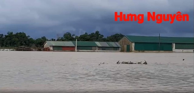 Nghệ An: Mưa lớn, lụt, lũ quét, sạt lở đất gây thiệt hại nặng nề - Ảnh 8.