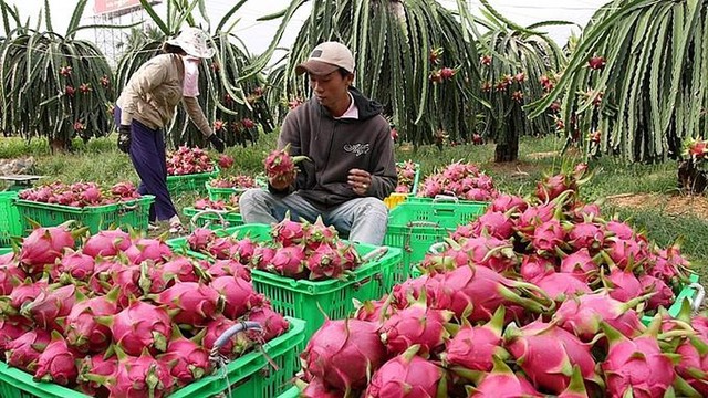 Ngân hàng Nhà nước: Yêu cầu tích cực giải ngân vào các lĩnh vực sản xuất kinh doanh, nông nghiệp - Ảnh 1.