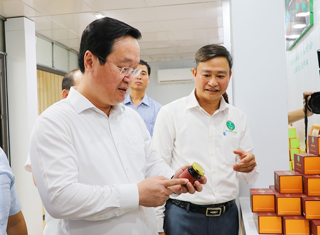 Nghệ An: Chủ tịch UBND tỉnh kiểm tra và thăm một số dự án, mô hình sản xuất tại huyện Con Cuông - Ảnh 2.