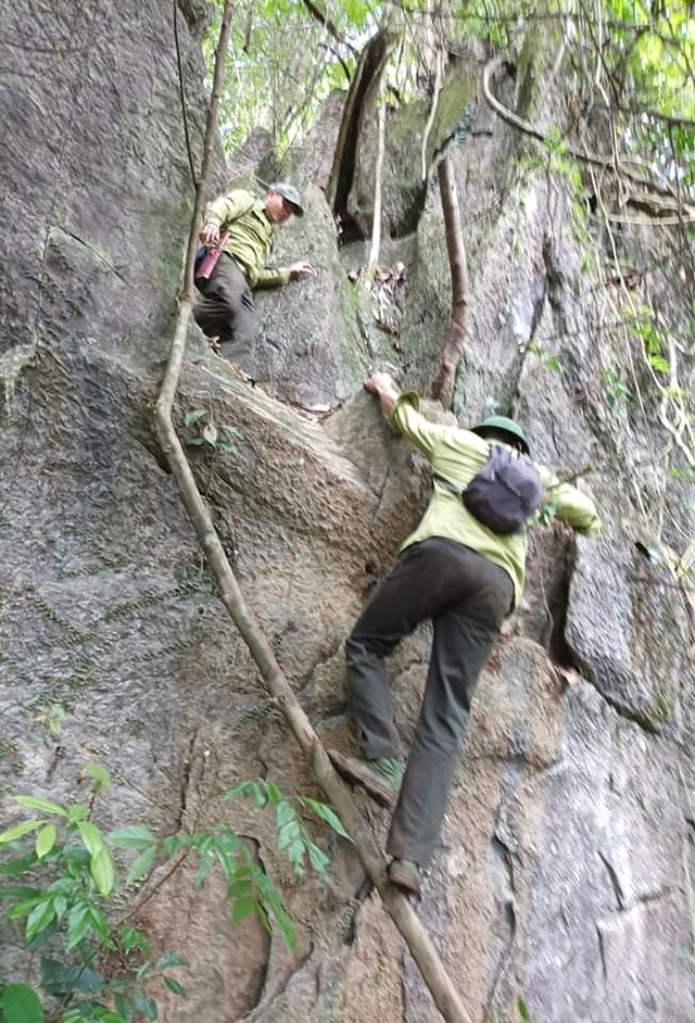Nỗ lực quên mình giữ “lá phổi xanh” cho vùng cao biên giới - Ảnh 3. Nỗ lực quên mình giữ “lá phổi xanh” cho vùng cao biên giới - Ảnh 3.