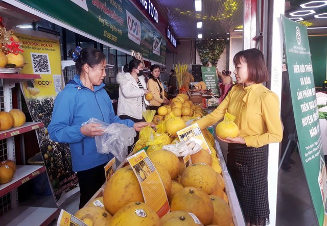 Hà Nội: Khai trương Điểm giới thiệu và bán sản phẩm OCOP tại huyện Ứng Hòa - Ảnh 2.