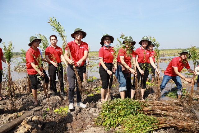 SeABank trao tặng 28.000 cây tràm cừ hỗ trợ Khu Bảo tồn Đất ngập nước Láng Sen - Ảnh 1.