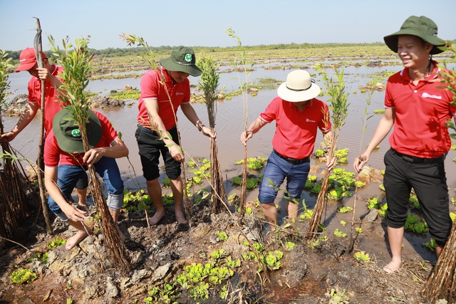 SeABank trao tặng 28.000 cây tràm cừ hỗ trợ Khu Bảo tồn Đất ngập nước Láng Sen - Ảnh 2.