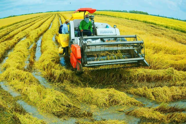 Vĩnh Thuận tiếp tục đẩy mạnh triển khai kế hoạch tái cơ cấu ngành nông nghiệp tầm nhìn đến năm 2030 theo hướng bền vững, thích ứng với biến đổi khí hậu gắn với Đề án &quot;Chương trình mỗi xã một sản phẩm&quot;.