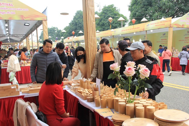 Hà Nội: Khai mạc Lễ hội hoa và Festival nông sản, sản phẩm OCOP tại huyện Mê Linh - Ảnh 3.