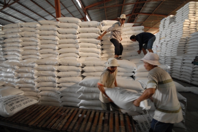 Năm 2022, dự báo xuất khẩu gạo của Việt Nam vẫn đạt 6 - 6,2 triệu tấn - Ảnh 1.
