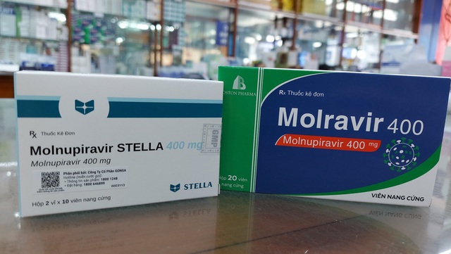 TP.HCM muốn mua thuốc Molnupiravir cấp miễn phí cho người dân - Ảnh 1.