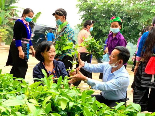 Lào Cai: Lan toả phong trào “Mỗi phụ nữ trồng một cây xanh” - Ảnh 1.