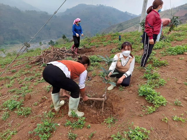 Lào Cai: Lan toả phong trào “Mỗi phụ nữ trồng một cây xanh” - Ảnh 2.