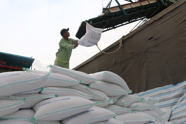 Giá gạo xuất khẩu 100% tấm của Việt Nam tăng trưởng tích cực - Ảnh 1.