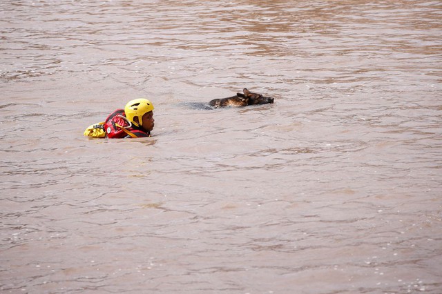 Nam Phi ban bố tình trạng thảm họa do lũ lụt - Ảnh 2.
