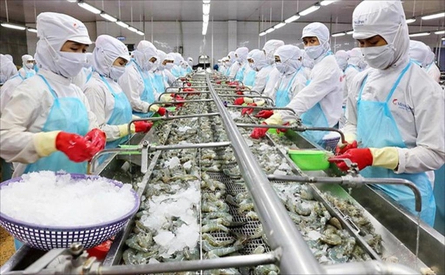 Xuất khẩu hải sản 3 tháng đầu năm đạt trên 920 triệu USD - Ảnh 1.