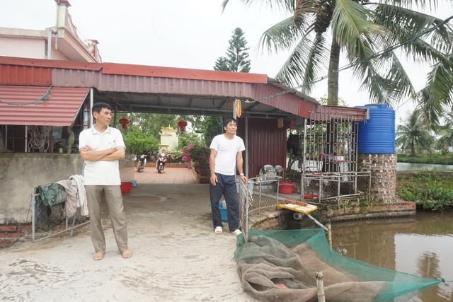 Thái Bình: Người dân  gian nan con đường tìm thức ăn nuôi cá - Ảnh 1.