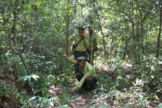 Khu bảo tồn thiên nhiên - văn hóa Đồng Nai: Quyết tâm giữ được rừng - Ảnh 3.