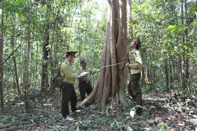 Khu bảo tồn thiên nhiên - văn hóa Đồng Nai: Quyết tâm giữ được rừng - Ảnh 4.