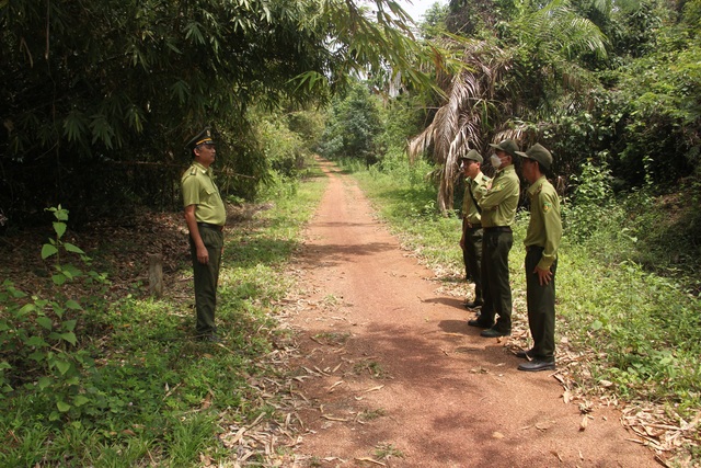 Khu bảo tồn thiên nhiên - văn hóa Đồng Nai: Quyết tâm giữ được rừng - Ảnh 2.