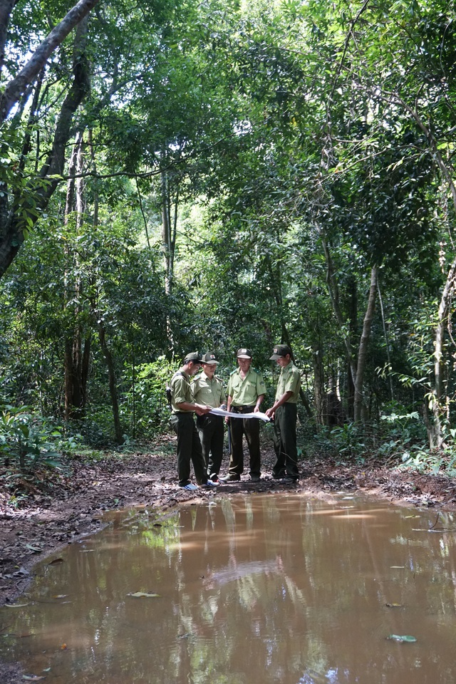 Khu bảo tồn thiên nhiên - văn hóa Đồng Nai: Quyết tâm giữ được rừng - Ảnh 1.