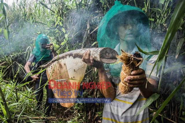 Cà Mau: Về nơi có tổ ong mật lớn nhất Việt Nam xem nghệ nhân đi “săn” mật - Ảnh 9.