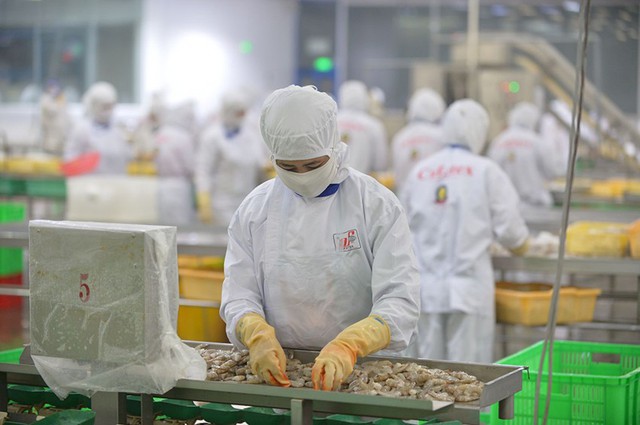 Giá tăng cao, xuất khẩu thuỷ sản Việt Nam sang châu Phi khó cạnh tranh - Ảnh 1.