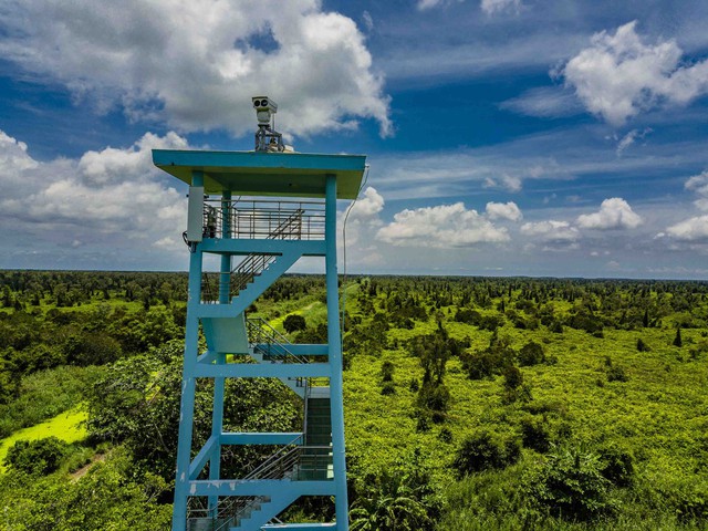 Du khách thưởng ngoạn khung cảnh thiên nhiên tươi đẹp từ đài quan sát cao 26m.