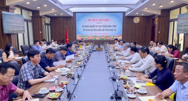 Nghệ An: Bộ Nông nghiệp và Phát triển nông thôn làm việc với Đoàn đại biểu Quốc hội tỉnh - Ảnh 1.