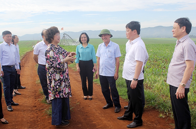 Nghệ An: Chủ tịch UBND tỉnh Nguyễn Đức Trung làm việc với lãnh đạo huyện Nghĩa Đàn - Ảnh 5.