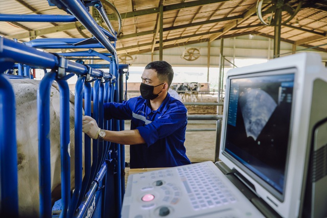 TH true MILK tiên phong sản xuất phôi trong ống nghiệm cho bò sữa tại Việt Nam  - Ảnh 5.