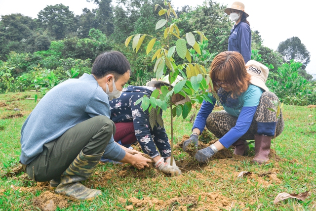 Manulife Việt Nam cùng khách hàng trồng rừng, hướng tới một tương lai bền vững - Ảnh 2.