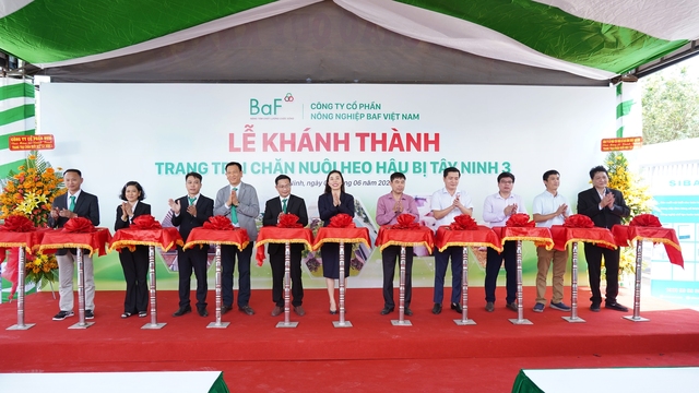 BaF Việt Nam liên tục đầu tư, mở rộng trang trại heo hậu bị ‎quy mô lớn - Ảnh 2.