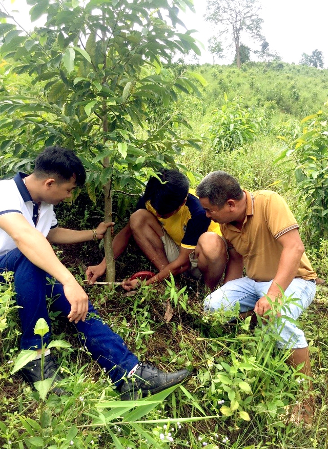 Quỹ Bảo vệ và Phát triển rừng tỉnh Điện Biên: Phát triển rừng bền vững nhờ triển khai hiệu quả chính sách chi trả dịch vụ môi trường rừng - Ảnh 3.
