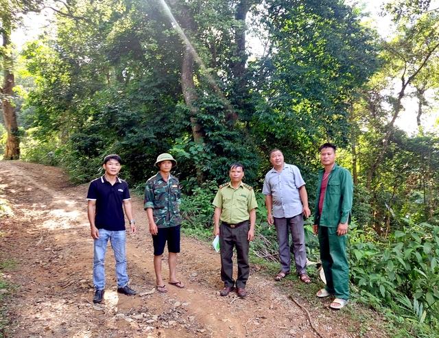 Hạt Kiểm lâm huyện Ngân Sơn: Phát huy vai trò nòng cốt trong công tác quản lý, bảo vệ rừng - Ảnh 1.
